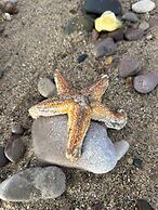 Ty'n Rhyl Boutique Bed & Breakfast