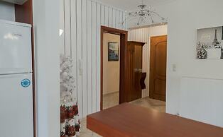 Luxury City Center Apartment