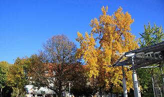 Lakeside Smoker Apartment FDH