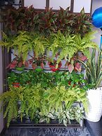 Southern Hotel Hoi An