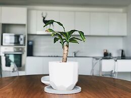 Staying Places - The Avenue