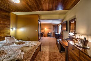 Wellness Hotel Borovica