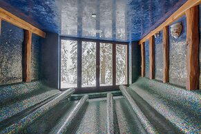 Wellness Hotel Borovica