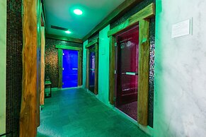 Wellness Hotel Borovica