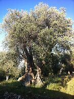 Hotel Rocca sul Mare