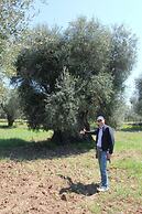 Hotel Rocca sul Mare