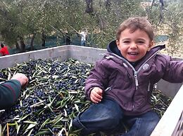 Hotel Rocca sul Mare