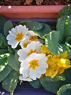 Balcon del Velillos - Rincón de Marcelo