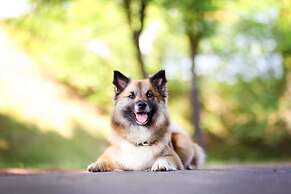 Gästehaus Burgwald-Trekking