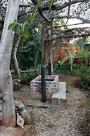 Ecolodge