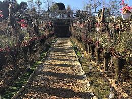 Homestay Vuon Hong Co