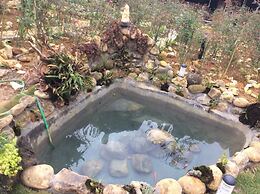 Homestay Vuon Hong Co