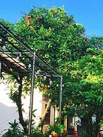 Sunny Trang An Homestay