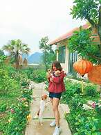 Sunny Trang An Homestay