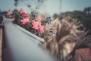 Sunny Trang An Homestay