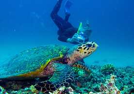 Hotel Gili Air & Restaurant