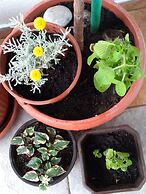 Apartments Jovanovic