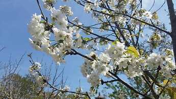 Masseria Borgo del Gallo