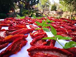 Masseria Borgo del Gallo