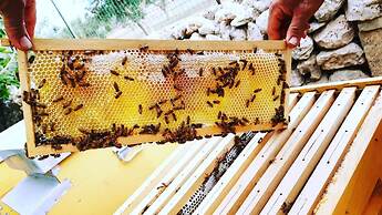 Masseria Borgo del Gallo