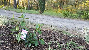 Gowrie Agapanthous - Hostel