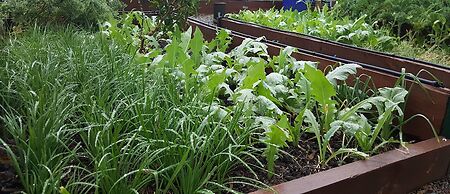 Gowrie Agapanthous - Hostel