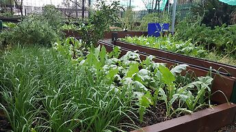 Gowrie Agapanthous - Hostel