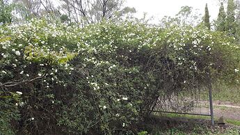 Gowrie Agapanthous - Hostel