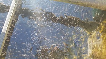 Agriturismo La Vecchia Chioderia