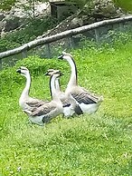 Agriturismo La Vecchia Chioderia