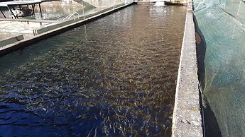 Agriturismo La Vecchia Chioderia