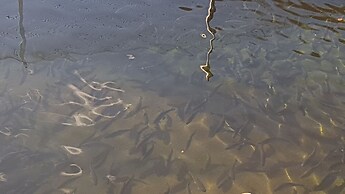 Agriturismo La Vecchia Chioderia