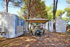 Camping Aurelia Club