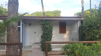 Camping Aurelia Club