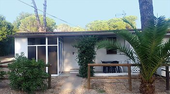 Camping Aurelia Club