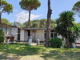 Camping Aurelia Club