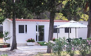Camping Aurelia Club