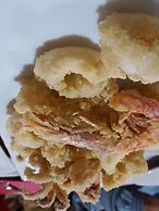 Camping Aurelia Club