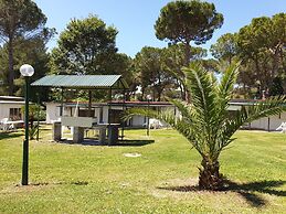 Camping Aurelia Club