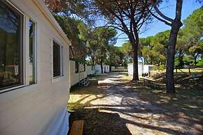 Camping Aurelia Club