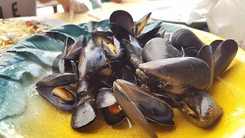 Camping Aurelia Club