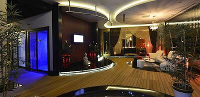 Elite Admiral Premium A1 13