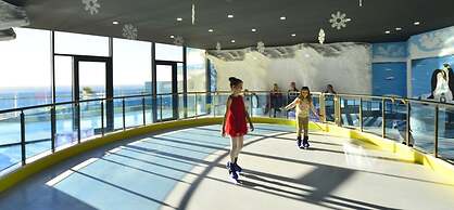 Elite Admiral Premium A1 13