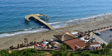 Elite Admiral Premium A1 13