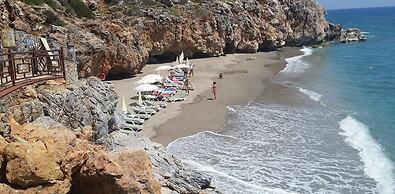 Elite Admiral Premium A1 13