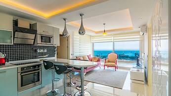 Elite Admiral Premium A1 13