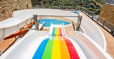 Elite Admiral Premium A1 13