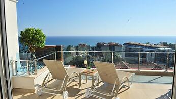 Elite Admiral Premium B810