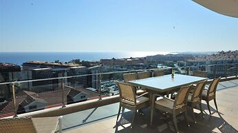 Elite Admiral Premium B810