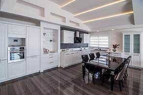 Elite Admiral Premium B811